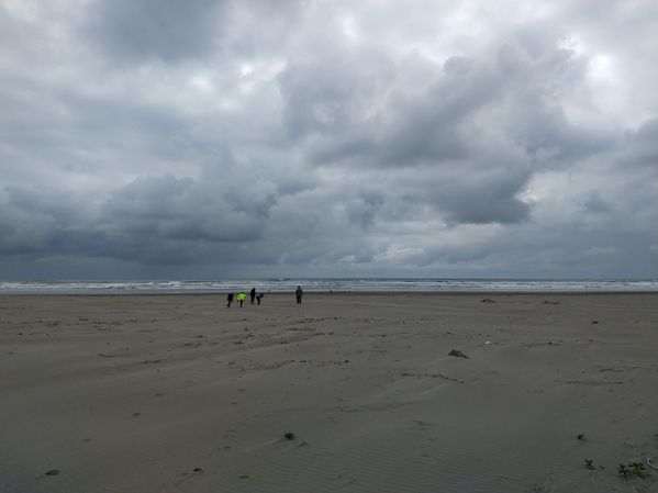 IMG_20200522_174105659.jpg