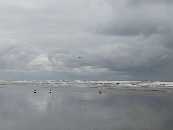 IMG_20200522_174855383.jpg