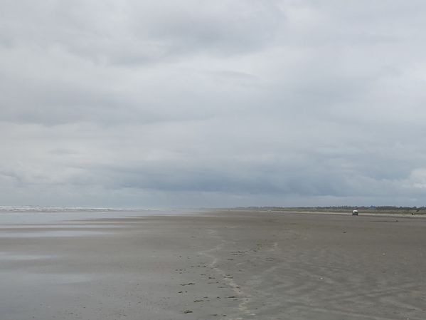 IMG_20200522_175743570.jpg