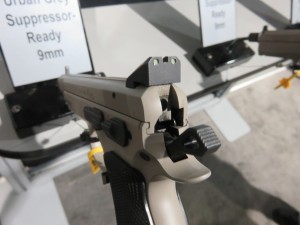 cz-10-300x225.jpg