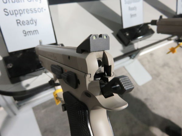 cz-10.jpg