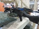 Filename=colt-1-768x576.jpg
Filesize=130KiB
Dimensions=768x576
Date added=Jan 16, 2025 colt-1-768x576.jpg