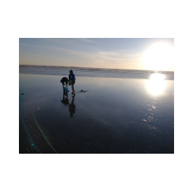 IMG_20210528_201021636_thumb.png
