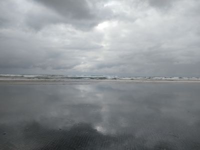 IMG_20200522_174841452.jpg