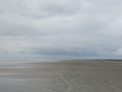 IMG_20200522_175743570.jpg