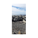 192738455_10225813208306947_2108973912392716228_n_thumb.png