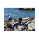 Filename=193188366_806868966923128_8998287543731502197_n_thumb.png
Filesize=103KiB
Dimensions=275x275
Date added=Jan 17, 2025 193188366_806868966923128_8998287543731502197_n_thumb.png