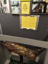 IMG_20200308_124635616.jpg