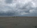 IMG_20200522_174105659.jpg