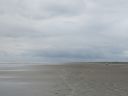 IMG_20200522_175743570.jpg