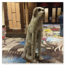 IMG_20210404_192937313_thumb.png
