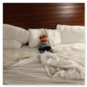 IMG_20210501_204126591_thumb.png