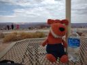 IMG_20210622_154226270.jpg
