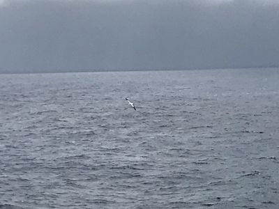 IMG_3694.jpeg