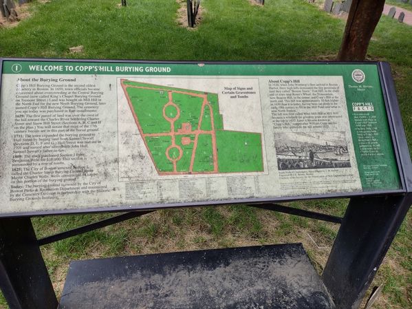 IMG_20210809_131002620_HDR.jpg
