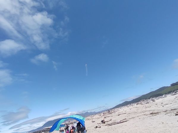 Can you see Vern's kite?
