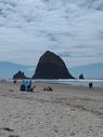 IMG_20220717_135322292~0.jpg