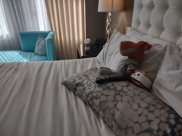 The Nines: Muttly and Mallow enjoy the bed
