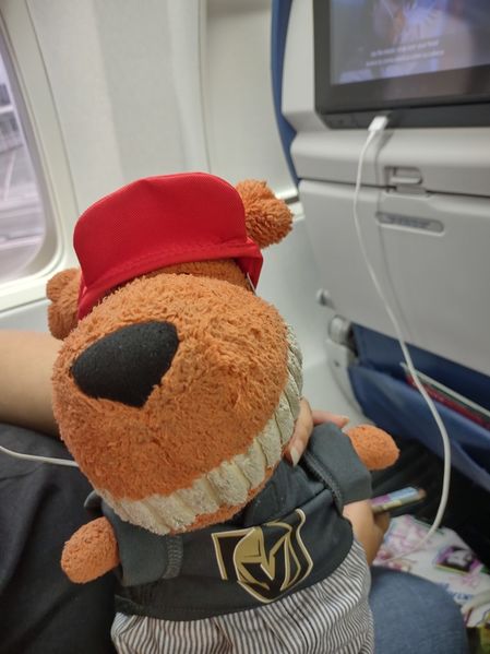 Muttly ready for our trip
