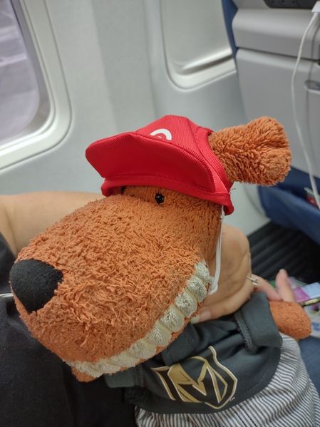 Muttly ready for our trip
