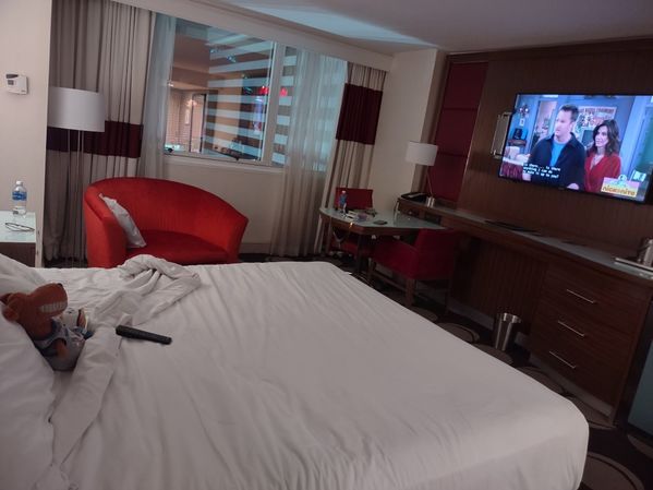 Muttly enjoys watching Friends in Vegas
