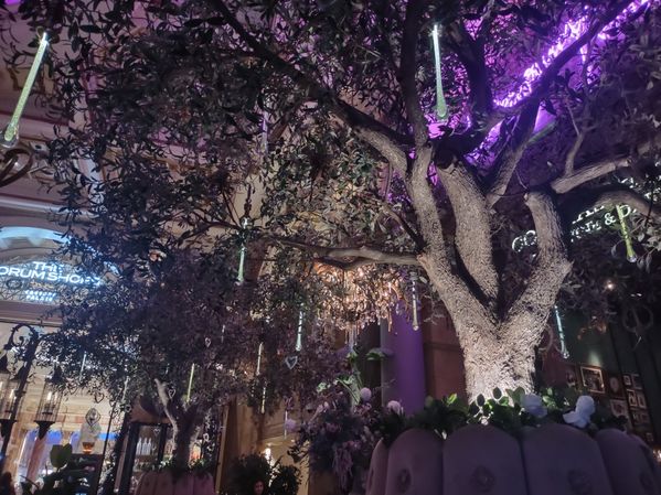 Vanderpump
