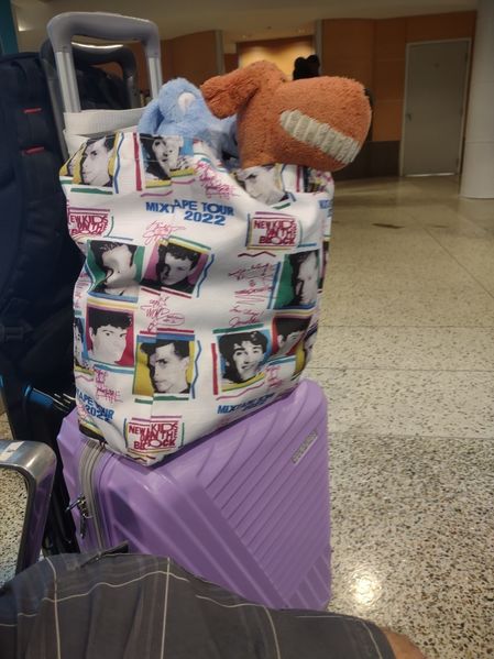 Muttly ready to go home
