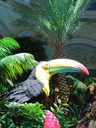 IMG_20220827_210143579.jpg