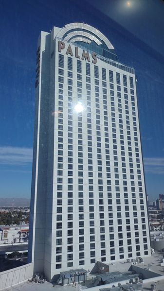 IMG_20221215_094821548.jpg