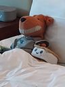 IMG_20221209_135938343.jpg