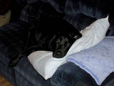 100_0120.JPG