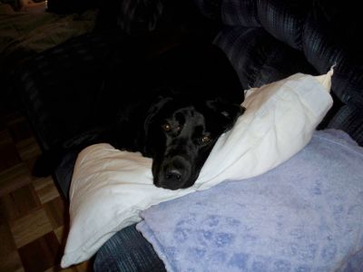 100_0124.JPG