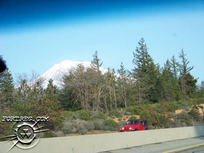 100_0772.jpg