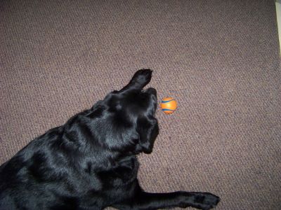 100_2064~1.JPG