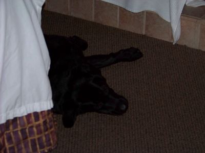 100_2068~0.JPG