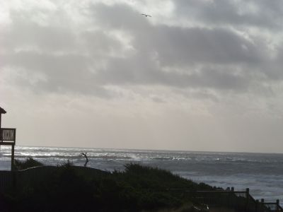 100_2071~0.JPG