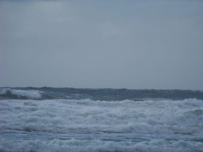 100_2079~0.JPG