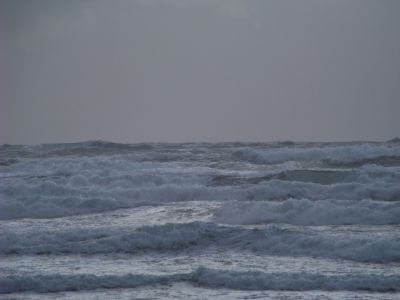 100_2081~0.JPG