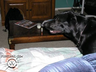Picture_015.jpg