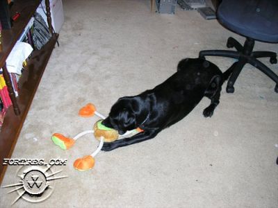 Picture_020.jpg