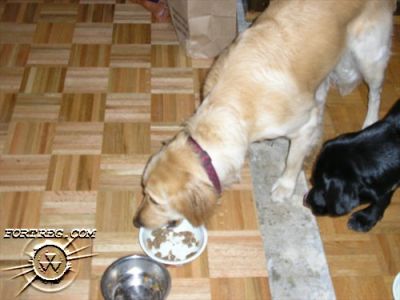 Picture_025.jpg