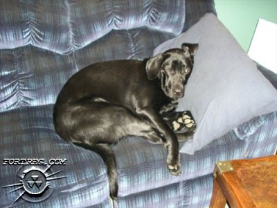 Picture_113.jpg