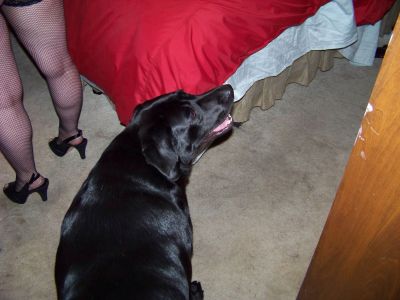 Picture_126~1.jpg