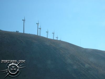 pa210062.jpg