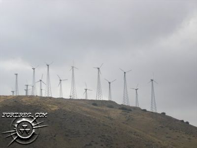 pa210065.jpg