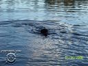 100_0283.jpg
