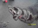 100_0301.jpg