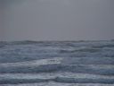 100_2081~0.JPG