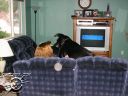Picture_008.jpg