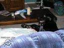Picture_011.jpg